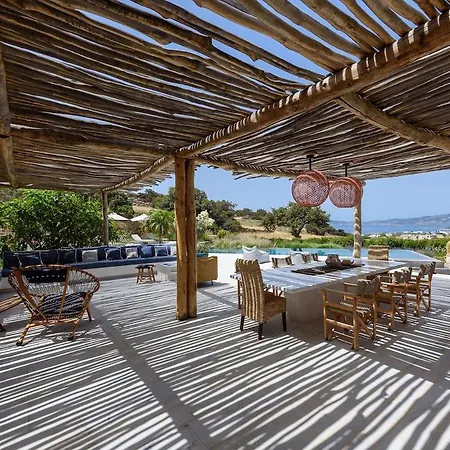 House Of Old Olive Tree