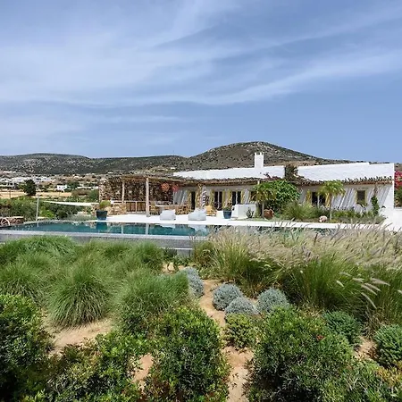 House Of Old Olive Tree *