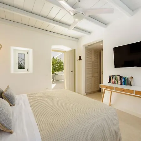 Villa House Of Old Olive Tree *