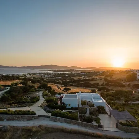 House Of Old Olive Tree