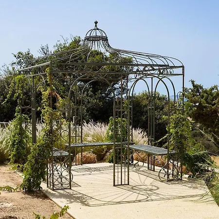 House Of Old Olive Tree