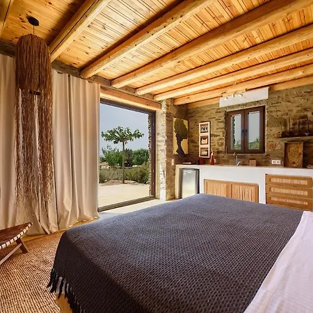 House Of Old Olive Tree