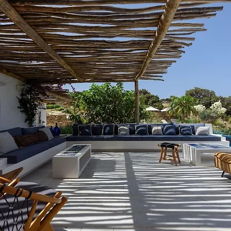 House Of Old Olive Tree * Páros