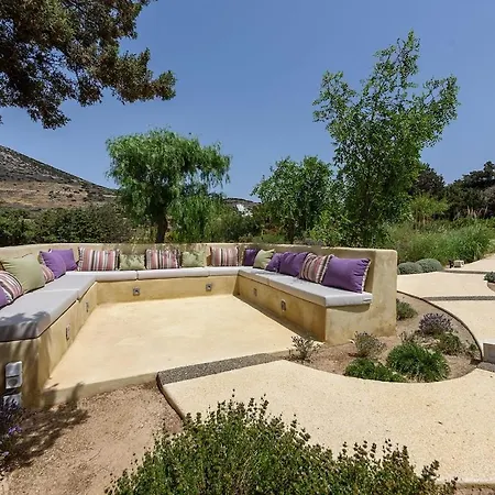 House Of Old Olive Tree Villa