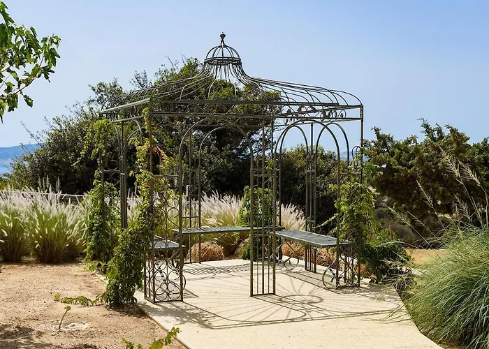 House Of Old Olive Tree