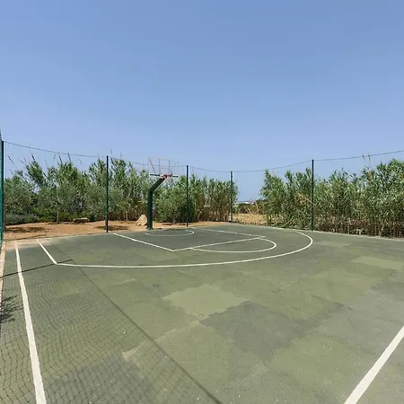 House Of Old Olive Tree *