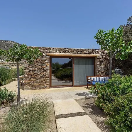 Villa House Of Old Olive Tree