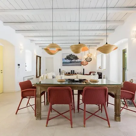 House Of Old Olive Tree