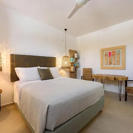 House Of Old Olive Tree * Parikia (Paros)