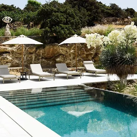 Villa House Of Old Olive Tree *