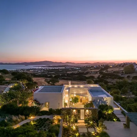 House Of Old Olive Tree *