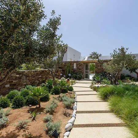 House Of Old Olive Tree * Parikia (Paros)