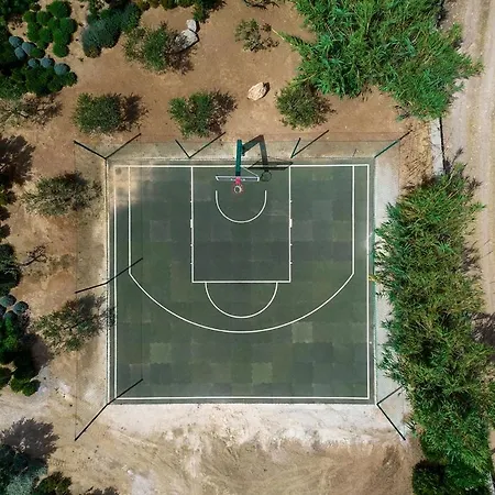 House Of Old Olive Tree *