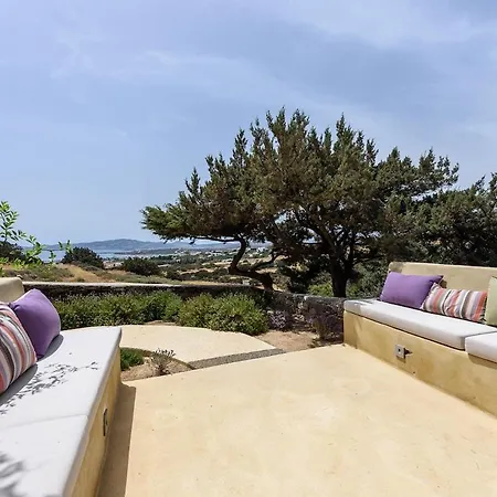 House Of Old Olive Tree