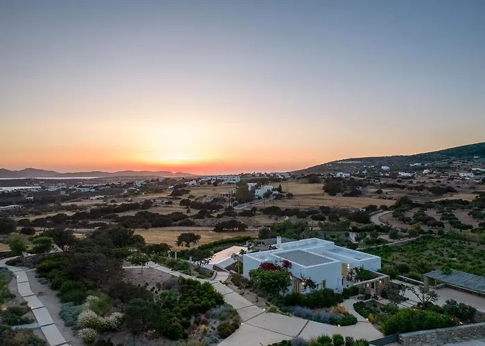 Villa House Of Old Olive Tree *