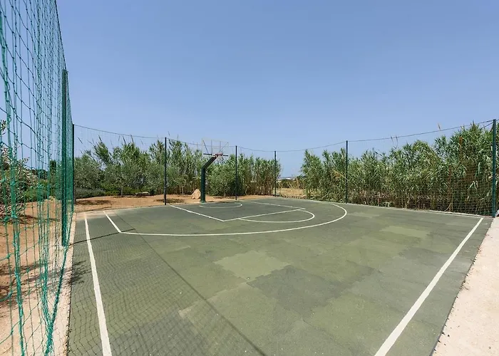 House Of Old Olive Tree *