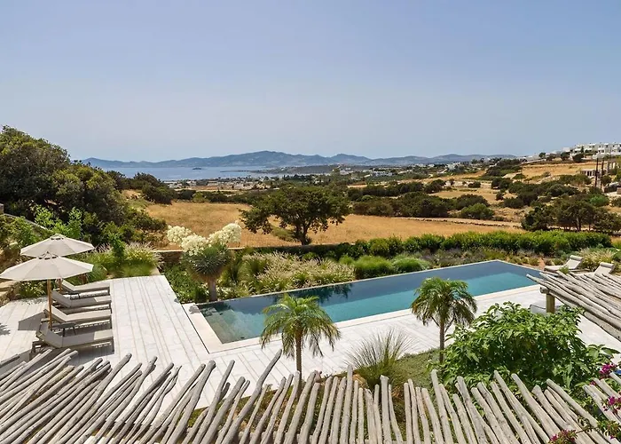 House Of Old Olive Tree * Páros