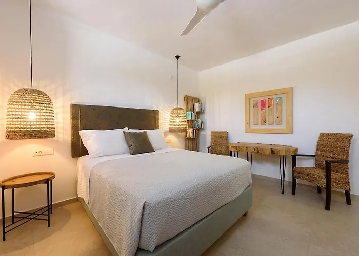 House Of Old Olive Tree * Páros