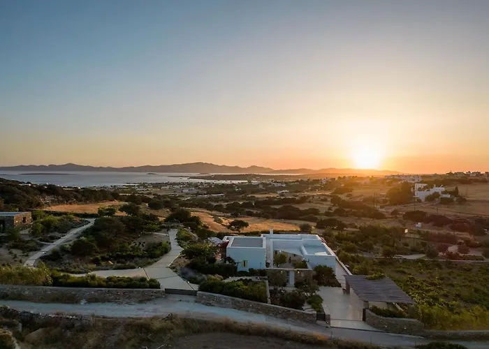 House Of Old Olive Tree