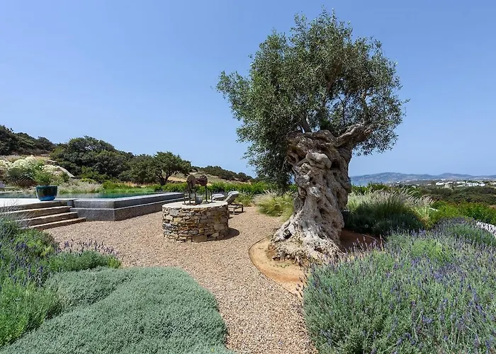 Villa House Of Old Olive Tree *
