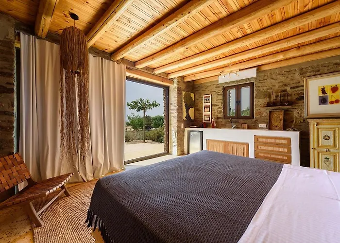 House Of Old Olive Tree