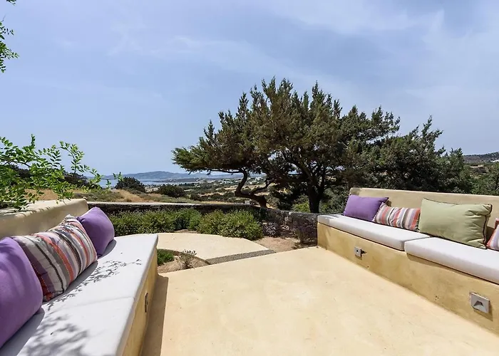 House Of Old Olive Tree